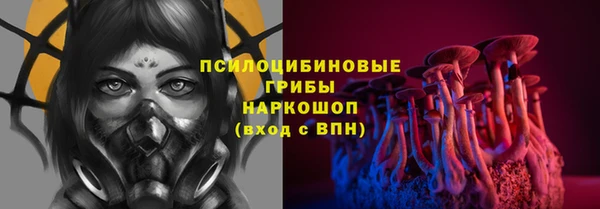 прущий лед Белокуриха