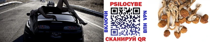 Псилоцибиновые грибы прущие грибы  Вязники 